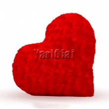 Red Heart Cushion